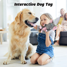 Load image into Gallery viewer, IOKHEIRA Dog Plush Toys for Aggressive Chewers, Indestructible Dog Squeaky Toys with Crinkle Paper, Durable Teething Chew Toys for Medium and Large Breed
