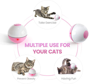 IOKHEIRA Interactive Cat Toys Ball (3rd Gen) Wicked Ball for Indoor Cats