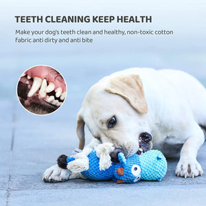IOKHEIRA Dog Plush Toys, Interactive Squeaky Toy for for Aggressive chewers