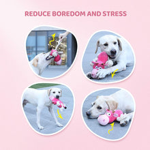 Load image into Gallery viewer, IOKHEIRA Dog Plush Toys,Squeaky Dog Toys (Pink)
